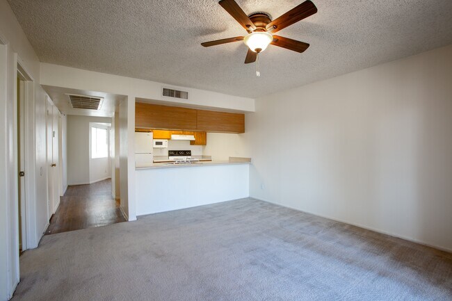 Photo - Ascent on Spence