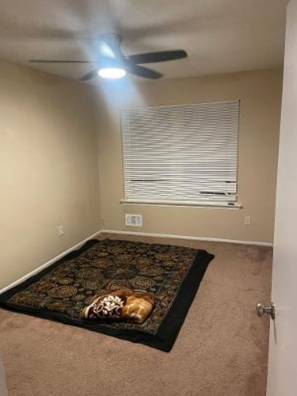 Photo - 13 Bordenshire Dr