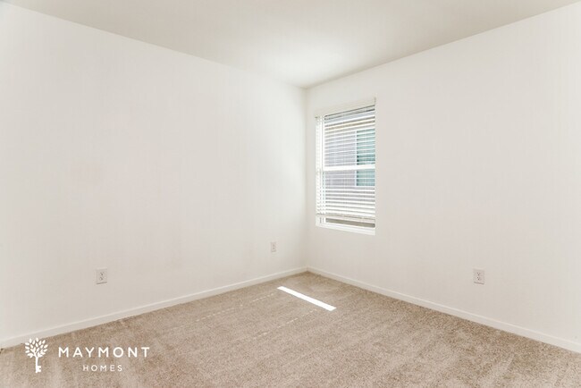 Photo - 518 Paul Cyn