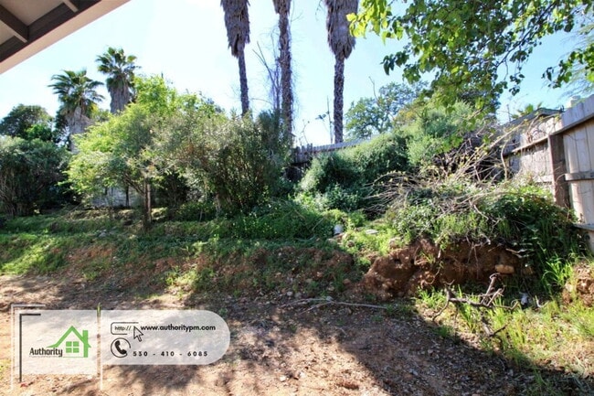 Photo - 1800 West St