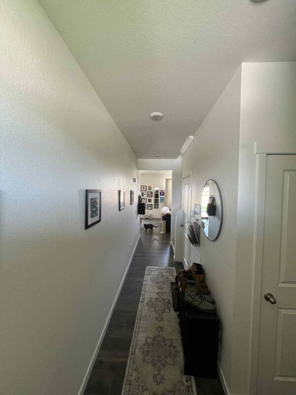 Photo - 3724 Catmint St