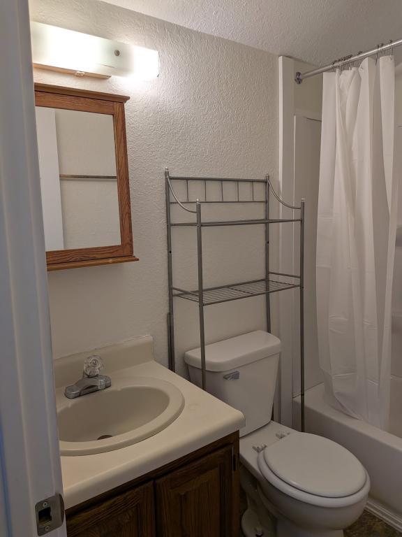 Photo - 216 Palmer St