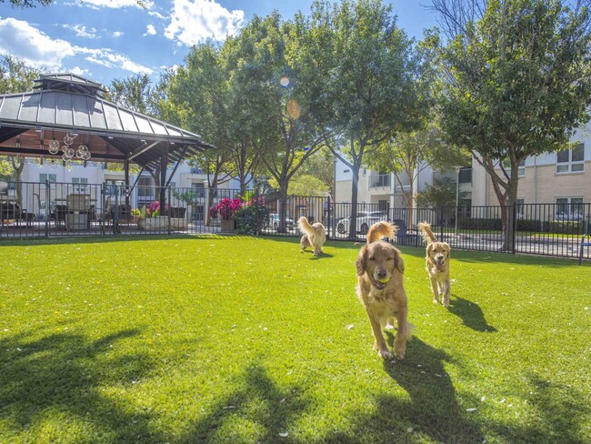 Building Photo - Pavilion Townplace at Inwood Village Apart... Rental