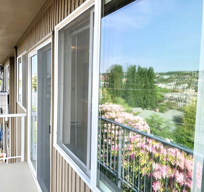 Photo - Queen Anne Terrace