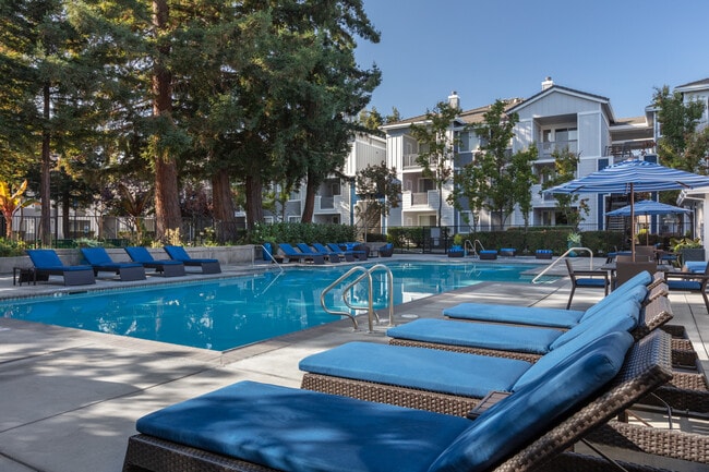 Pool and Spa - Renaissance Apartment Homes