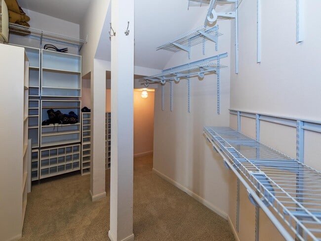 Building Photo - 3334 Spring Landing Ln