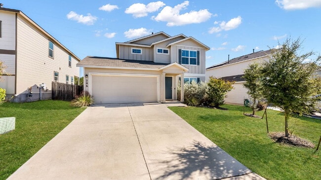 Photo - 206 Moscovy Duck