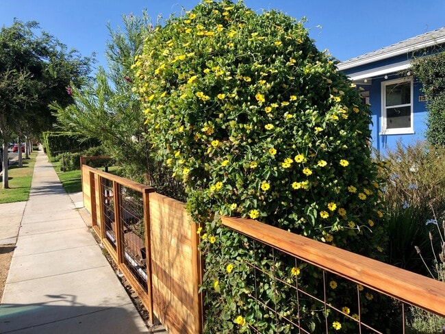 Photo - 1727 Franklin St