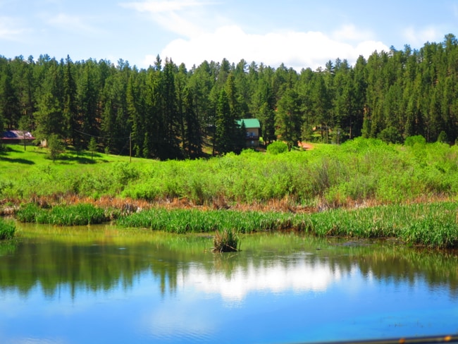 Photo - 15729 Pine Lake Dr