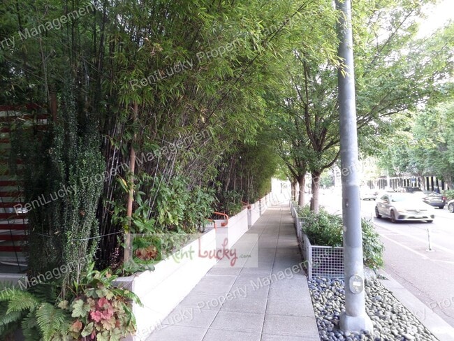 Photo - 401 9th Ave N Unit 217