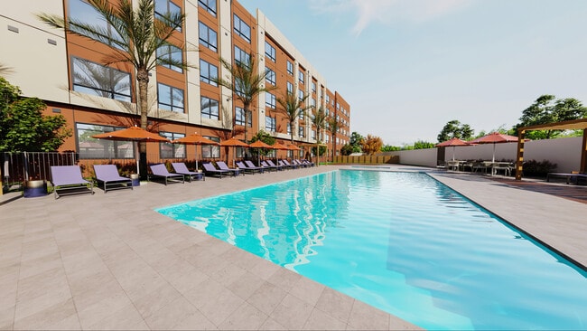 The Bernice - The Bernice Apartments