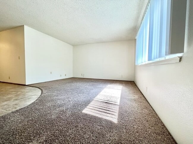 Photo - 417 Orange St