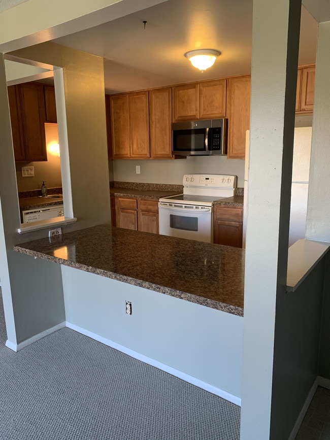 Kitchen and bar seating area - 1618 Jefferson Ridge Dr