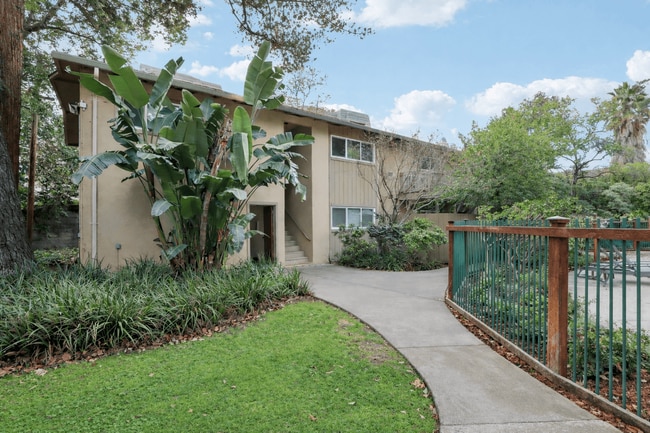 Park Vista Apartments