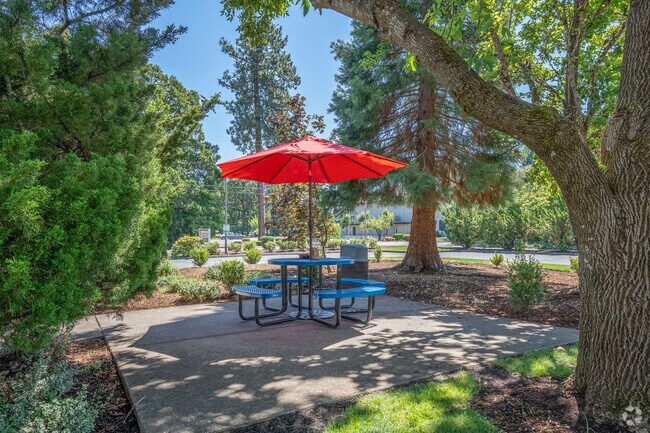 Picnic Area