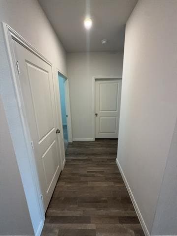 Photo - 3637 Silver Maple Ln