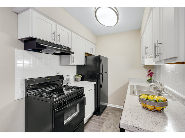 Encantadora cocina | Apartments en alquiler en Mount Prospect, Illinois, | The Element - The Element