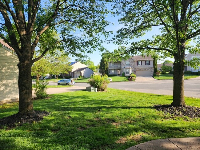 Photo - 1146 Deercreek Dr