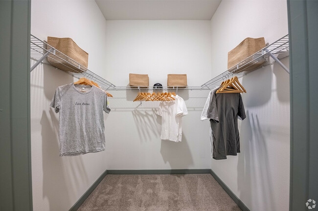 Spacious walk-in closet.