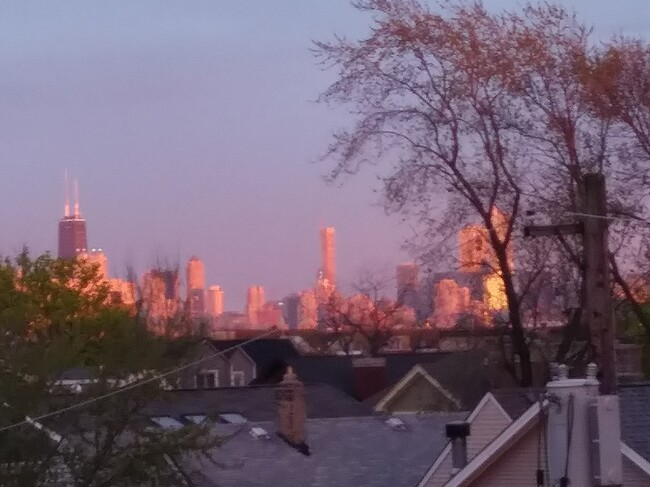 View from top deck - 1943 W Oakdale Ave Apartamentos Unidad 2