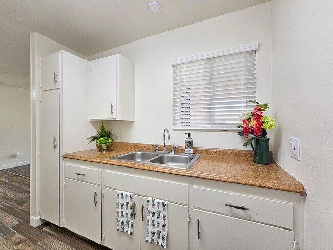 Photo - Shady Terrace