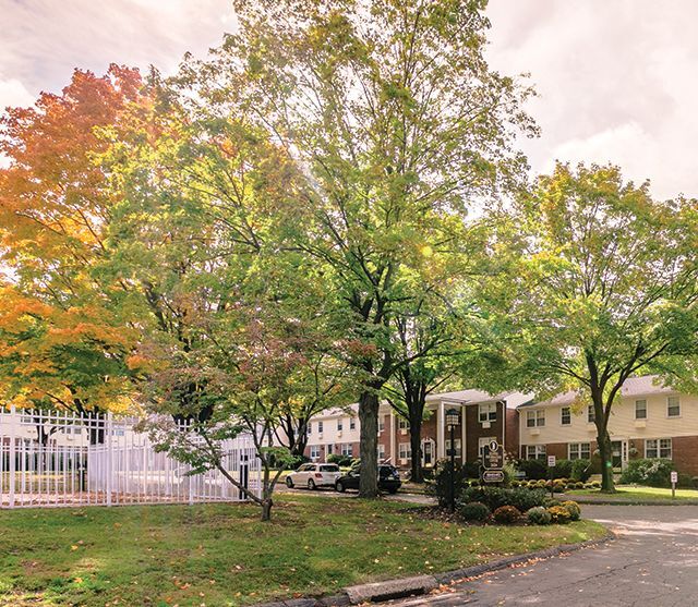 Photo - Glastonbury Centre