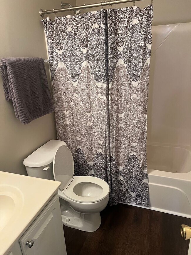 Photo - 2008 Duke Adam St