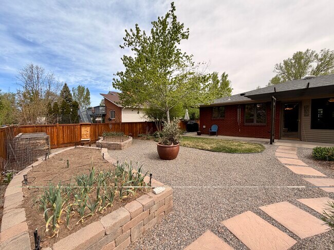 Backyard (East Angle)