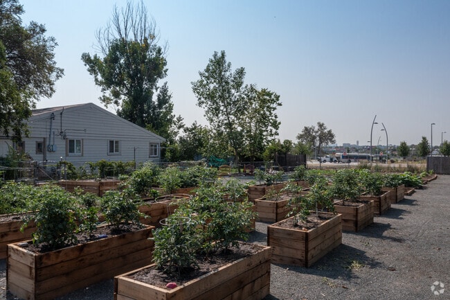 Community Garden