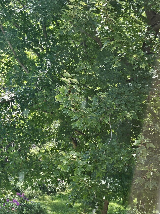 Photo - N5071 Sunset Vista Rd Unit LAKE ONALASKA APT.