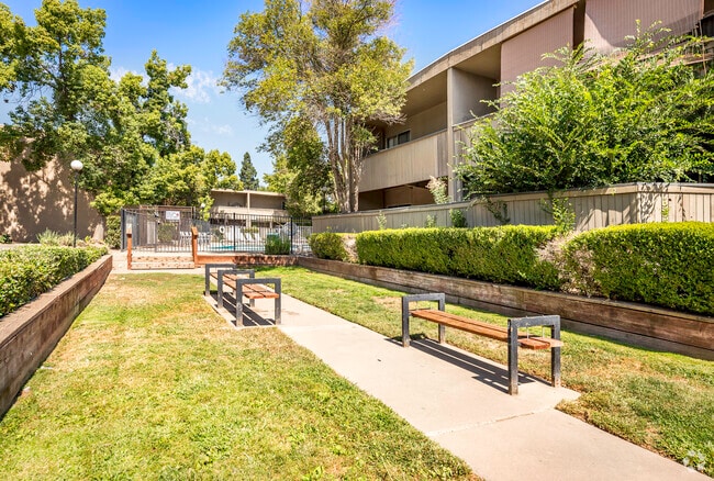 Courtyard - Amber Grove