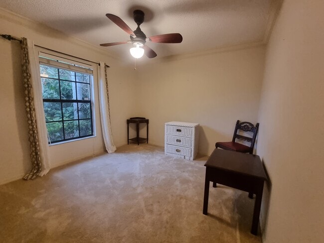 317 Caen Ct