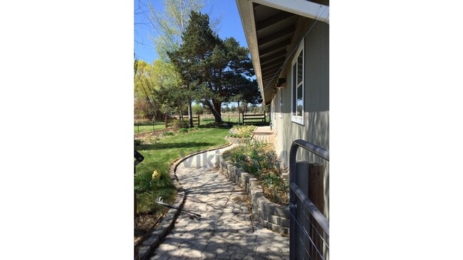 62565 Dixon Loop