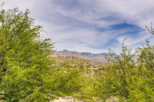 Photo - 7255 E Snyder Rd