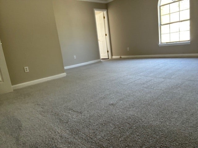 Photo - 930 Bobcat Ct