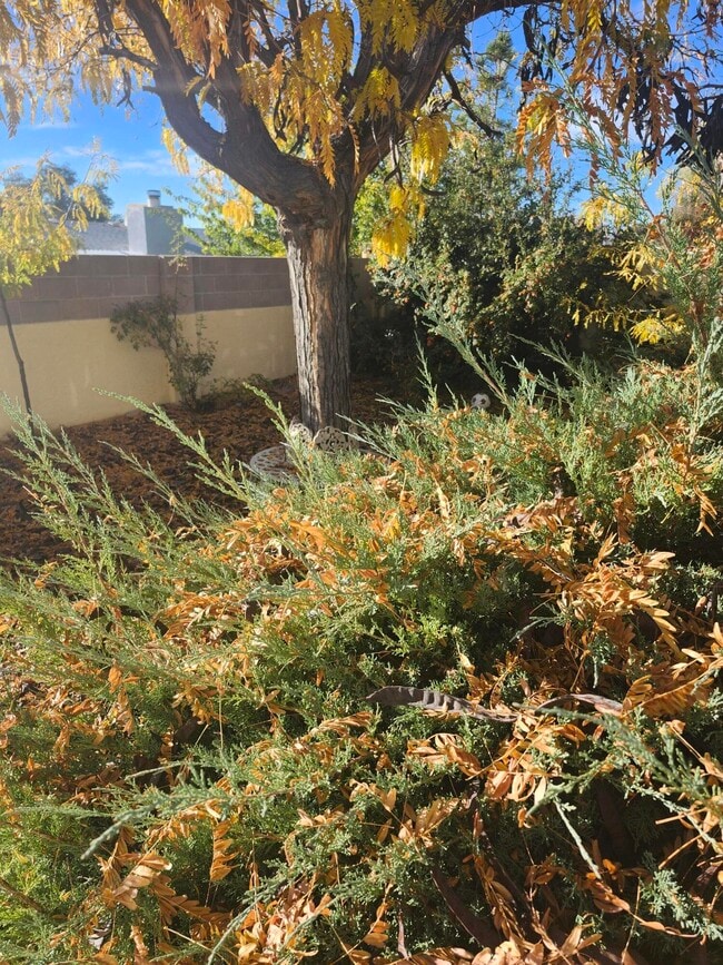 Photo - 8805 Yankee Dr NE