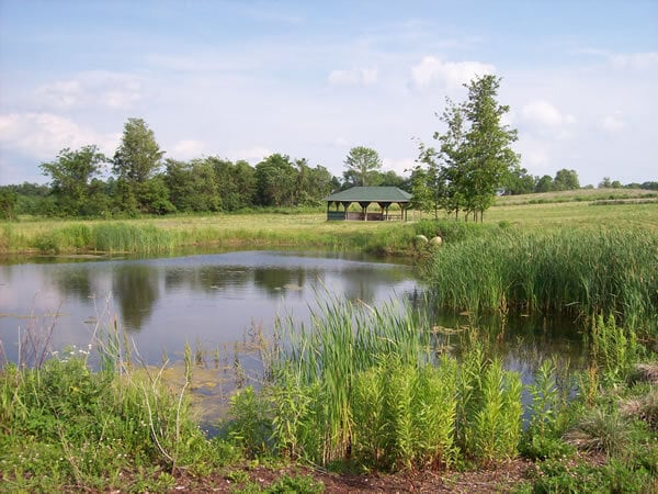 Photo - 1787 State Route 96