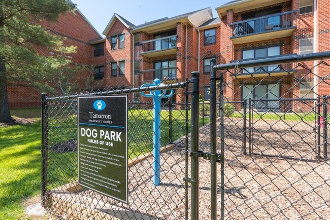 Tamarron Apartment Homes