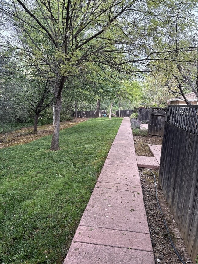 Patio trasero compartido con otras 2 unidades. - 80 College Way Unidad 2