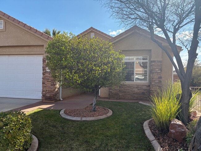 Photo - St. George Oasis