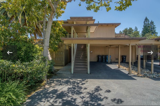Webster Oak Apartments - Webster Oak Apartments