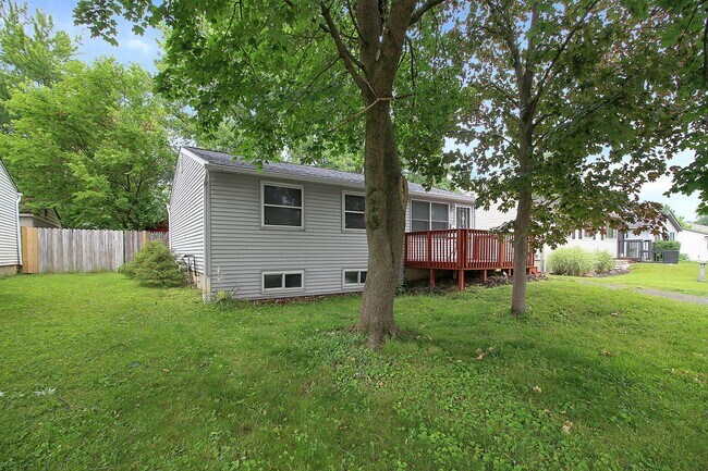 Photo - 3 Bedroom Home For Rent
