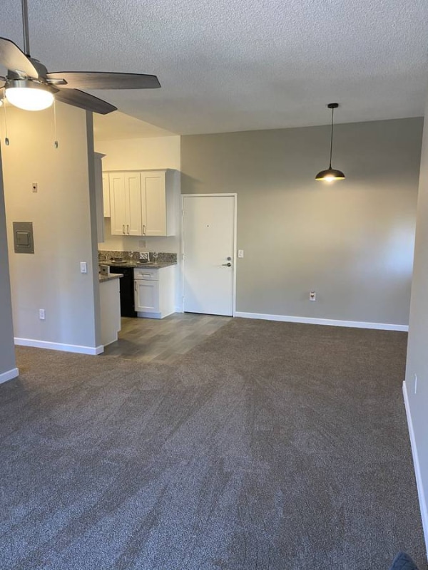 Photo - 5165 Luigi Terrace Unidad 3