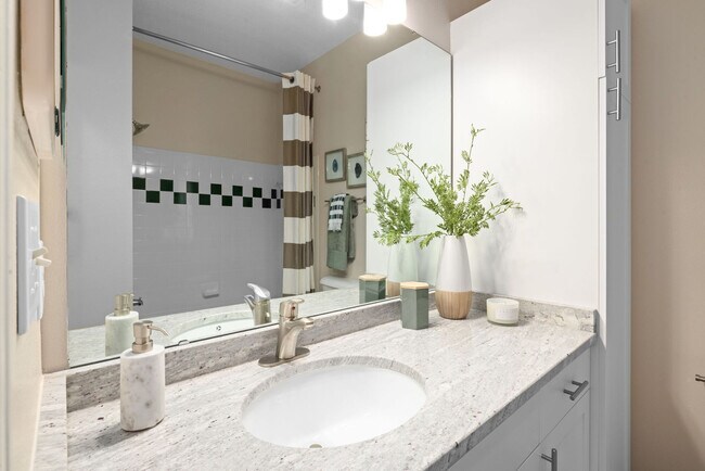 The Morgan at Chapel Hill apartments — community photo