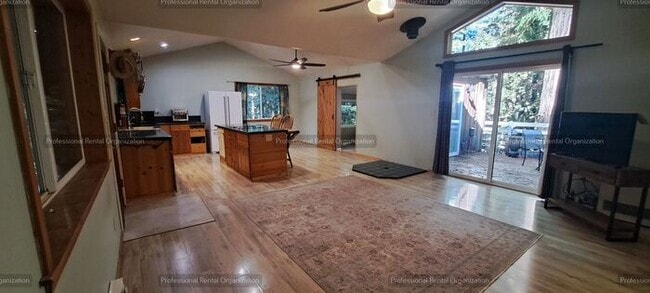 Photo - Sunlit Sanctuary in the Redwoods