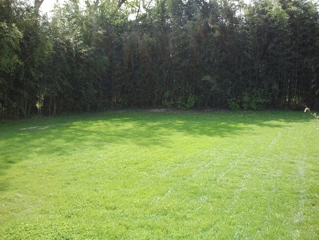 Sunny backyard - 5138 9th St N Unit Main Level