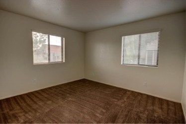 Photo - Evergreen on Hayden Lane