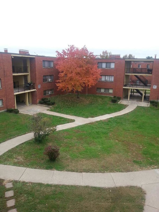 grounds