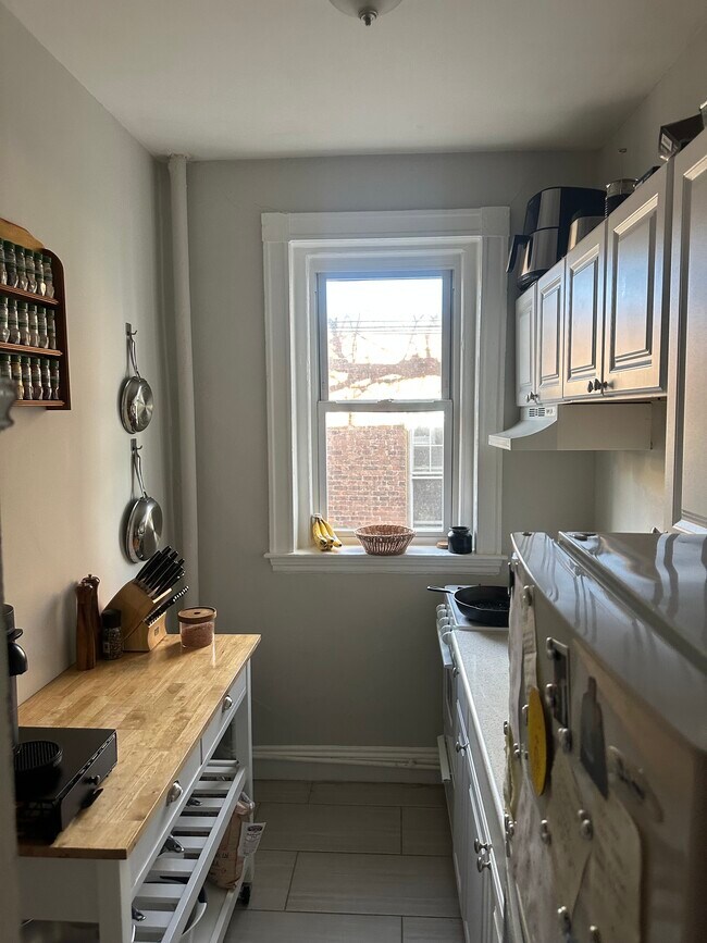 Building Photo - 1676 Commonwealth Ave Unit 10 Rental