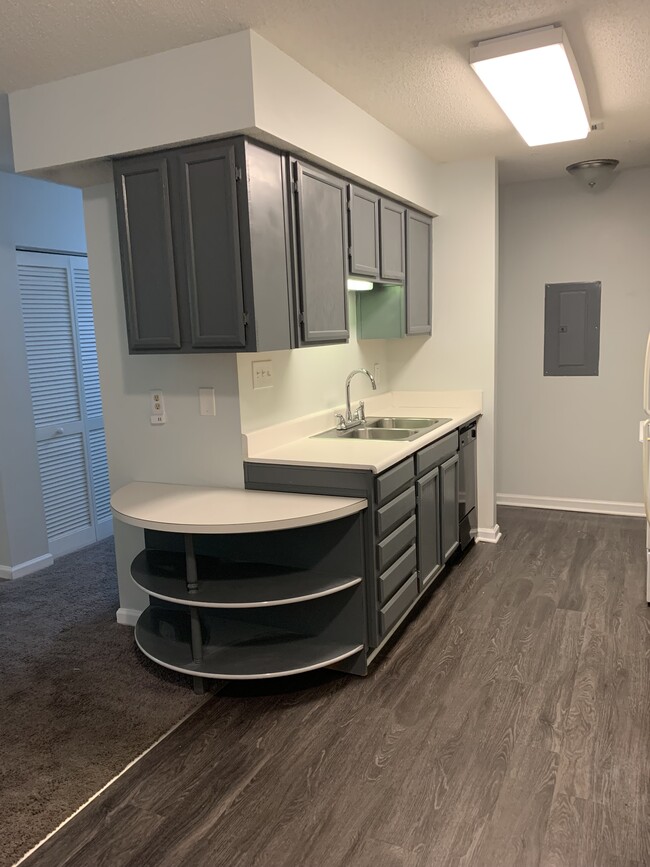 Patio Home Kitchen - Archer Crossing